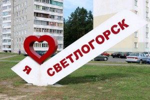 Купить лестницу в Светлогорске
