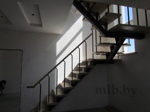 Металлическая лестница Моно в поселке Большой Тростенец